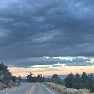 Meet your Posher, Mona